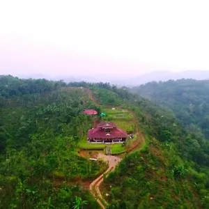 Wonderhill Wayanad Lodge